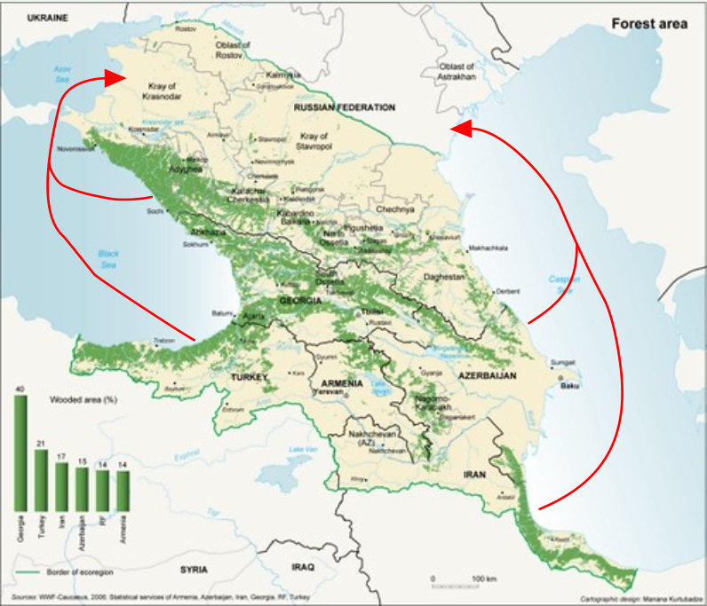 Turkey/Georgia/Russia Shipped Timber Routes